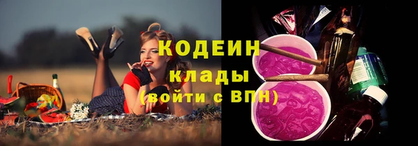 прущие грибы Богородицк