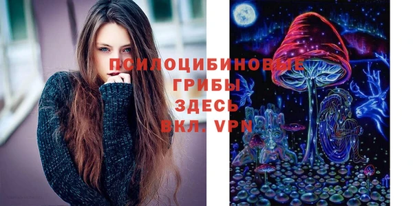 прущие грибы Богородицк