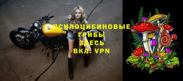 прущие крисы Богданович