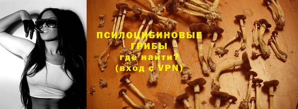 СК Бородино