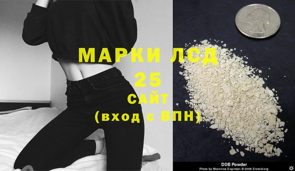 прущие грибы Богородицк